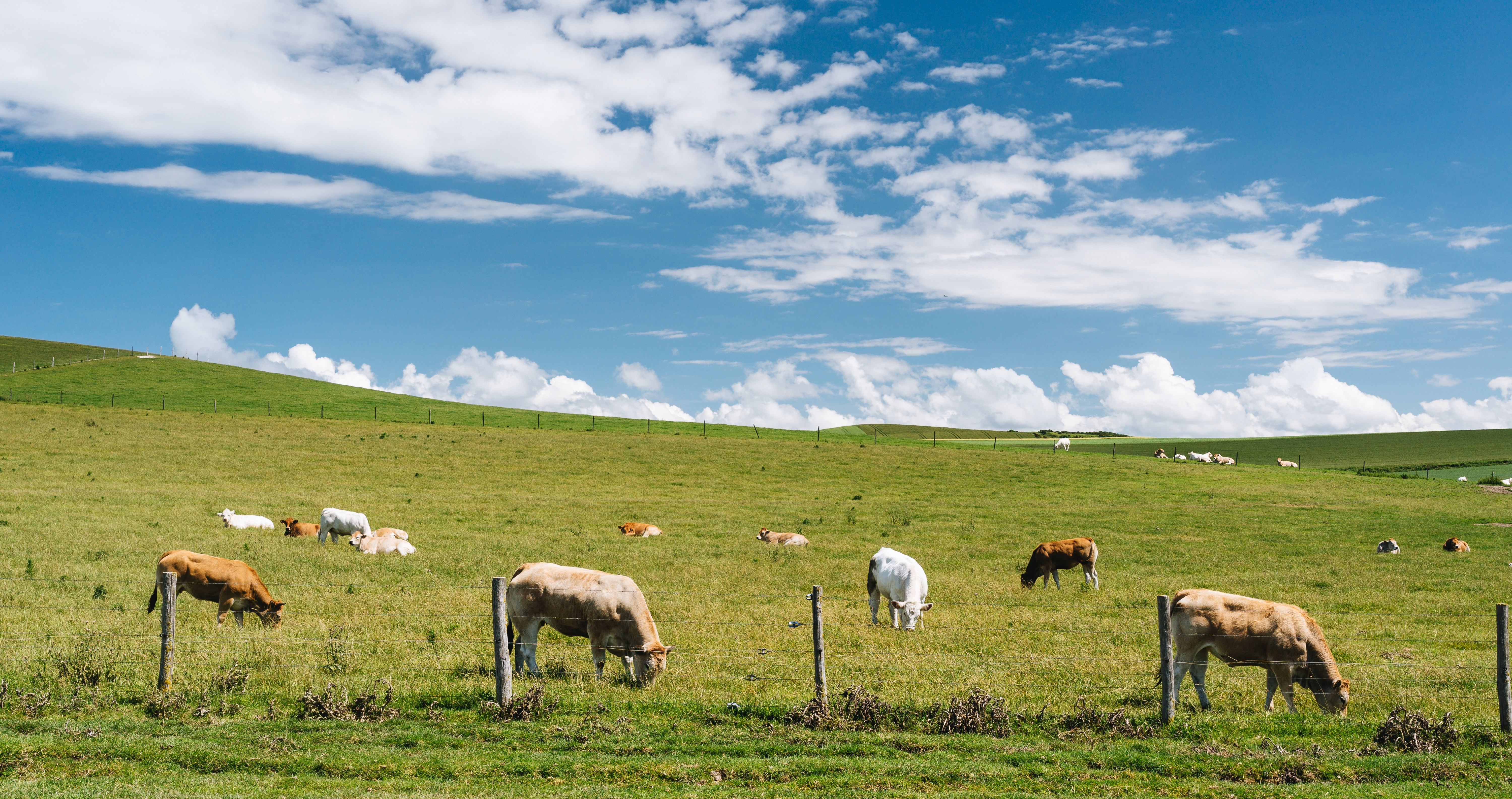 Measuring Pasture Matters: From Plate Meters to Satellite Technology