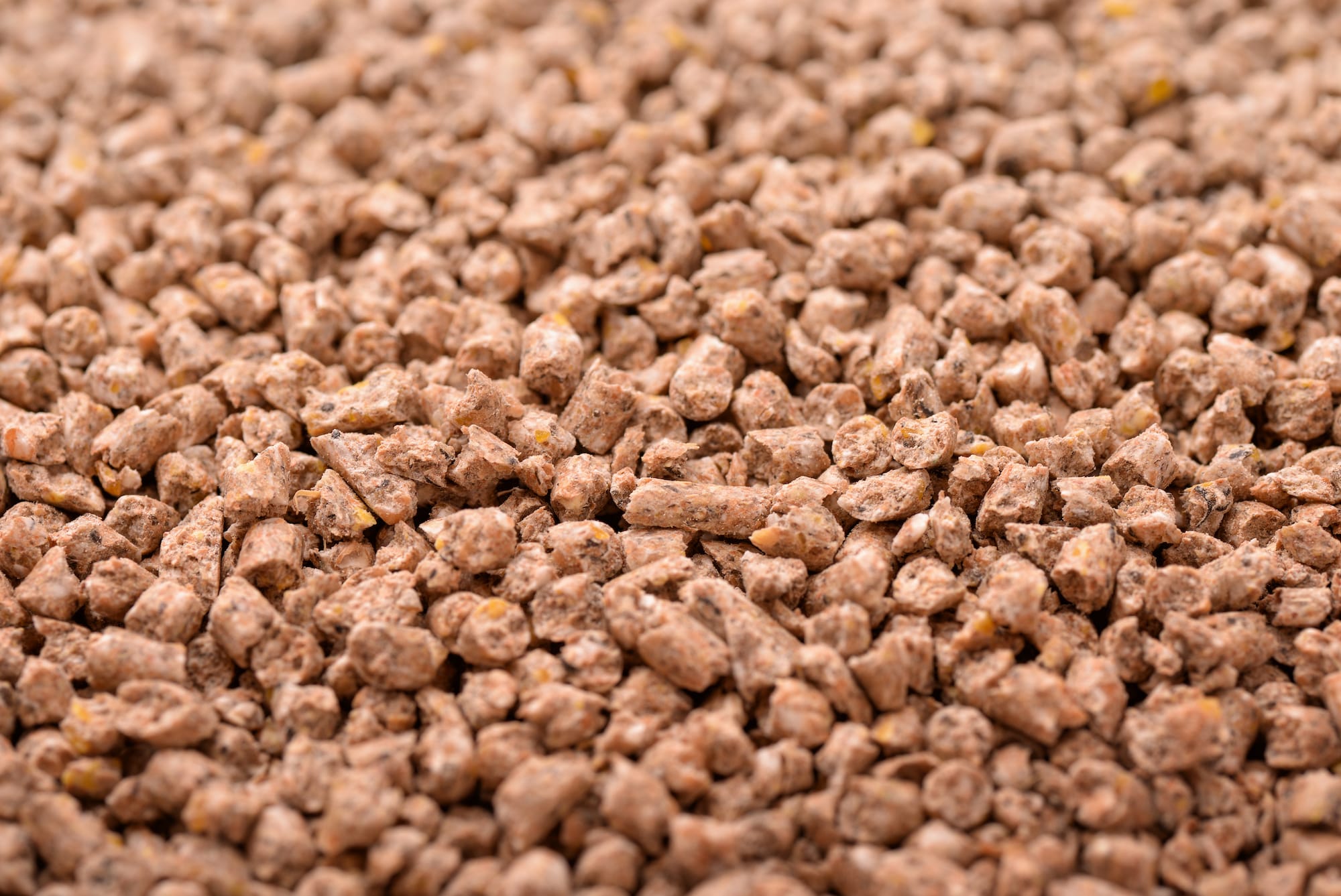 Alternative Protein Sources for Animal Feed
