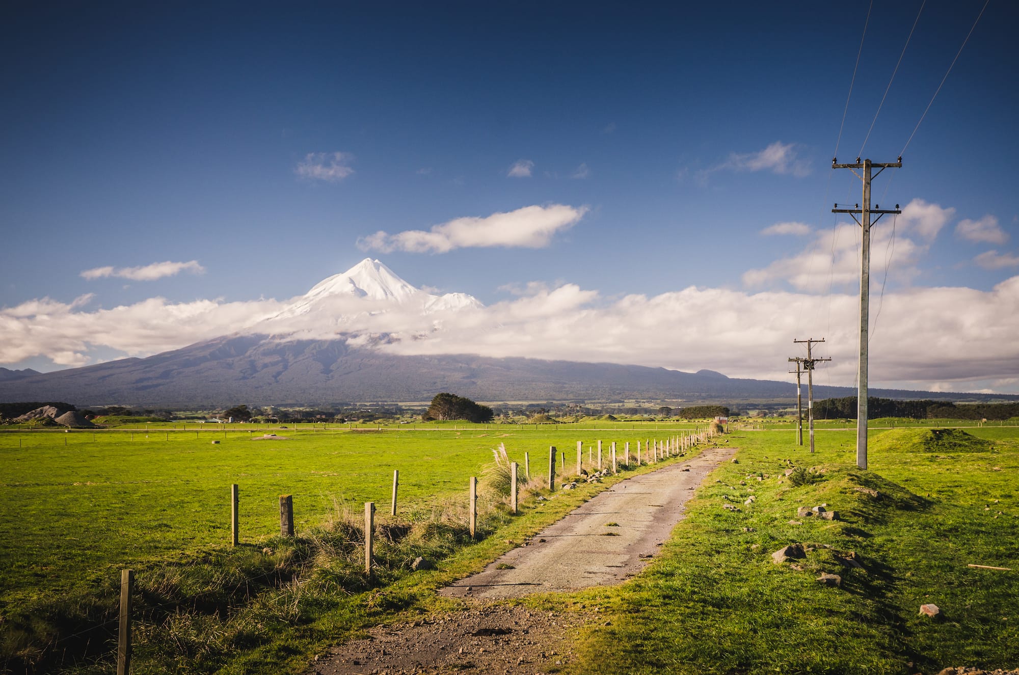 Advancements in Dairy Industry of New Zealand