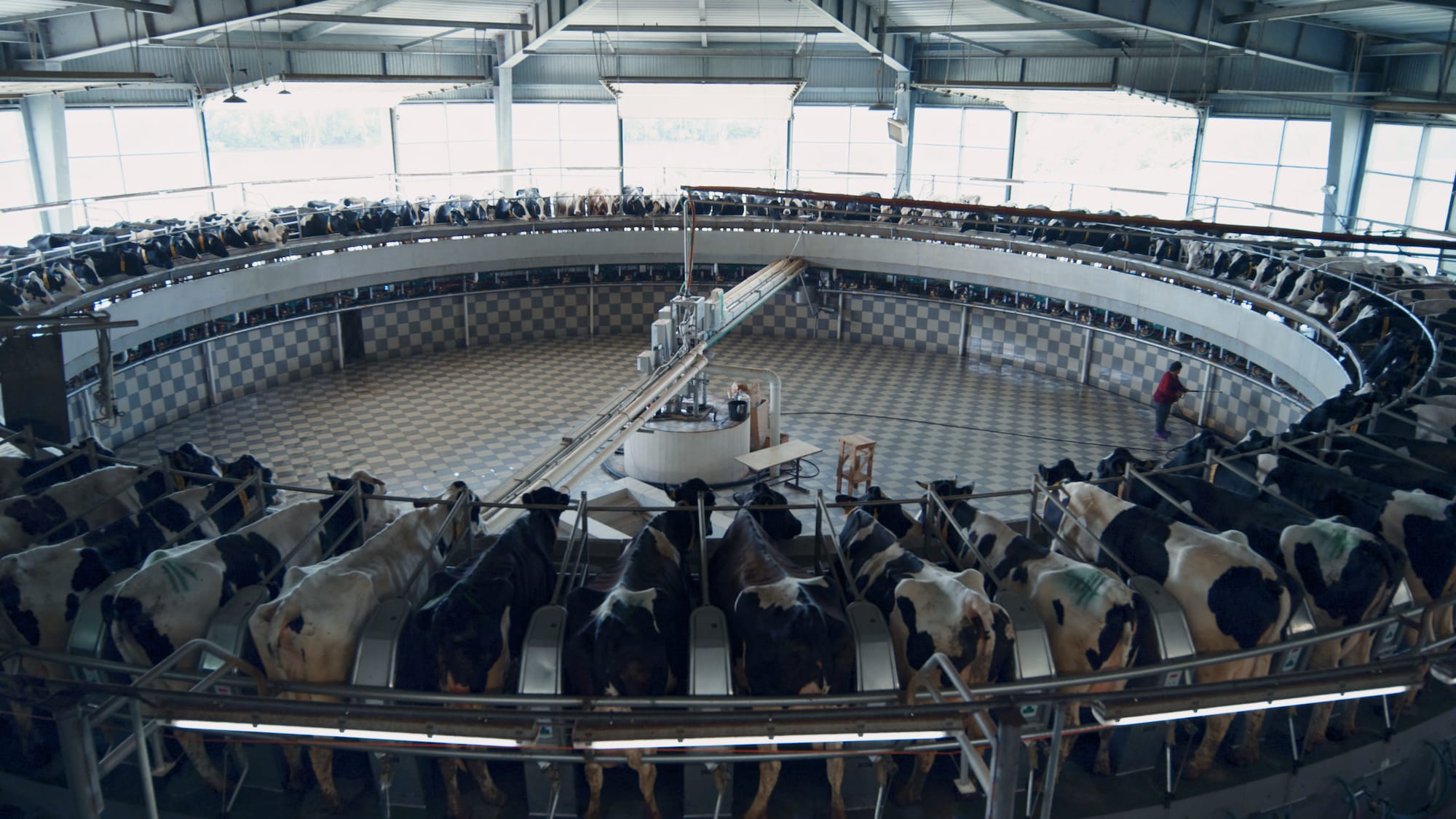 Modern Innovations In The Dairy Industry