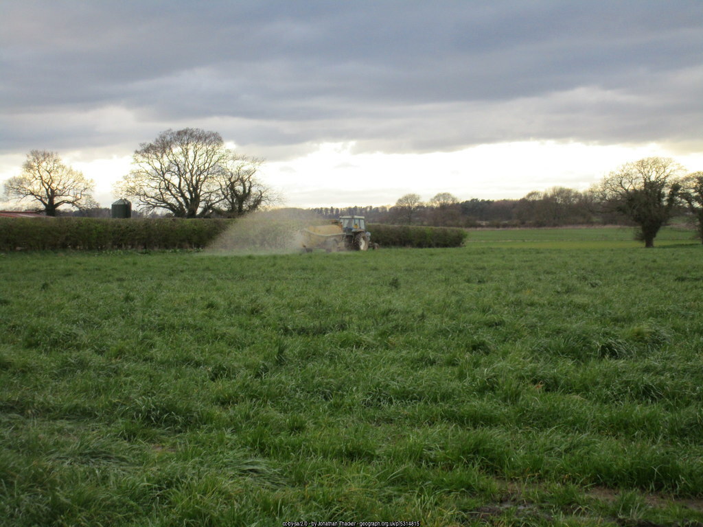 Establishing Perennial Ryegrass Pastures