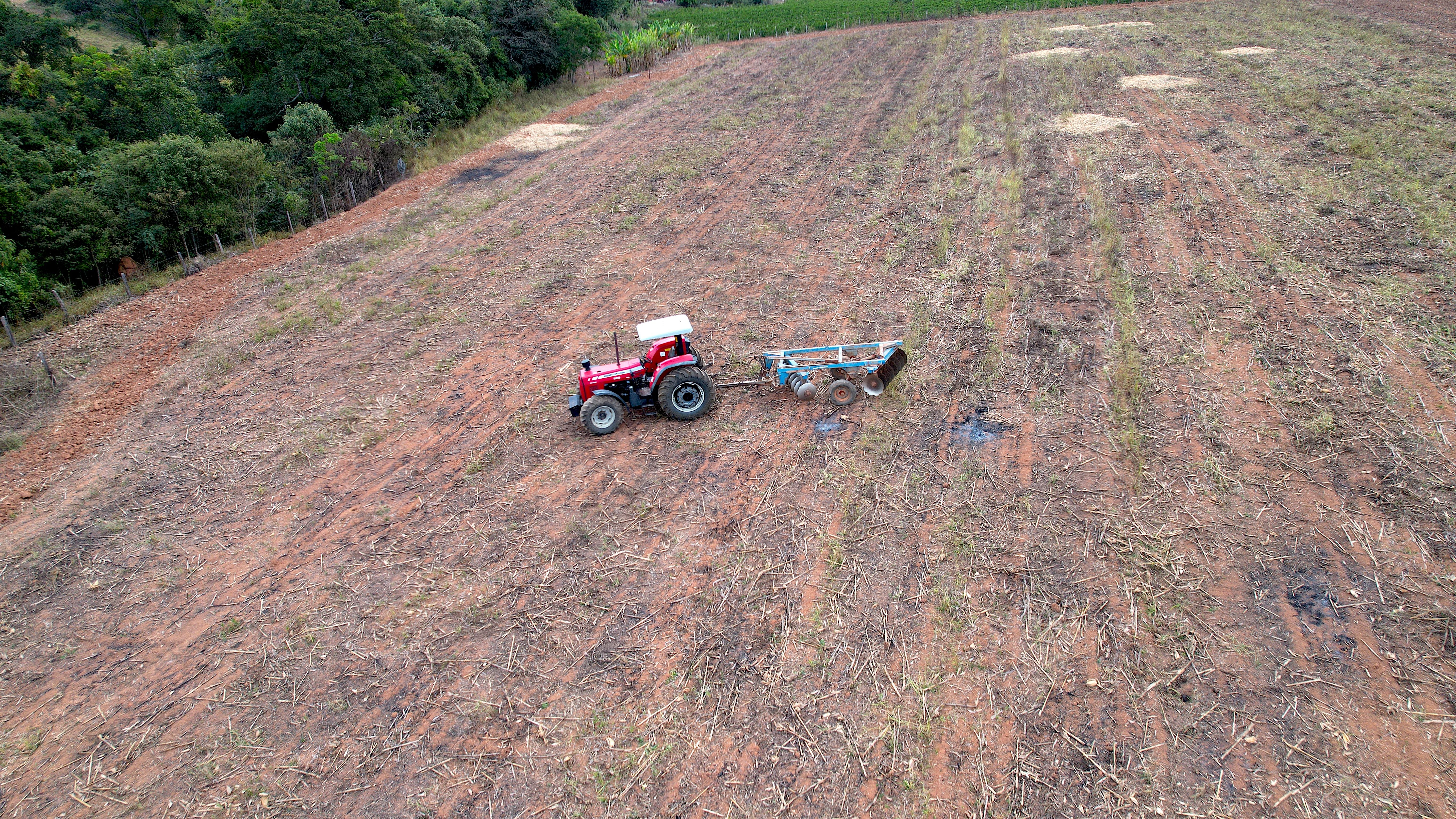 Restore Damaged or Dead Pasture With AI for Optimum Farm Resilience