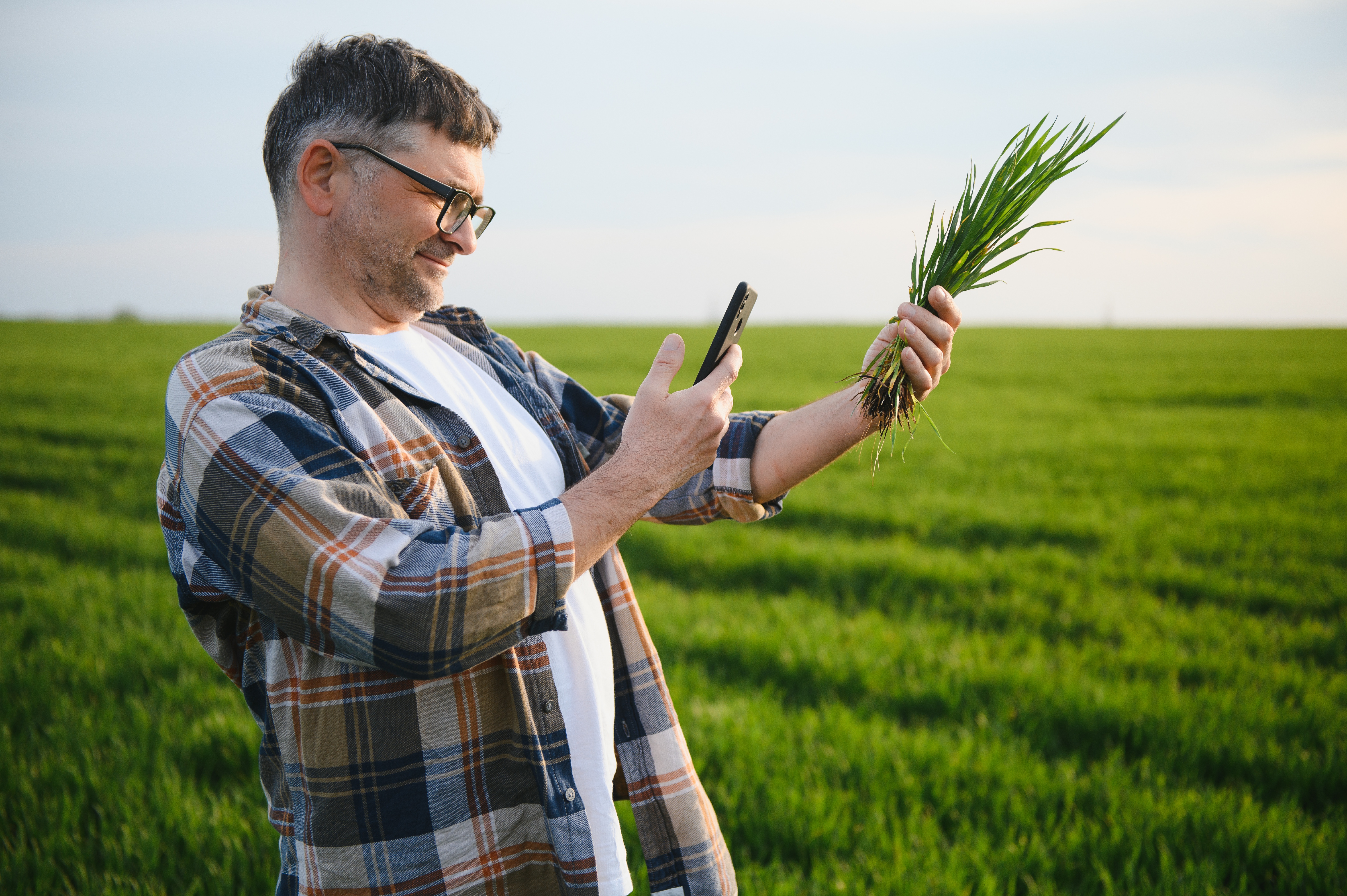 Growing Your Ideal Forage: A DIY Approach with AI and Agritech