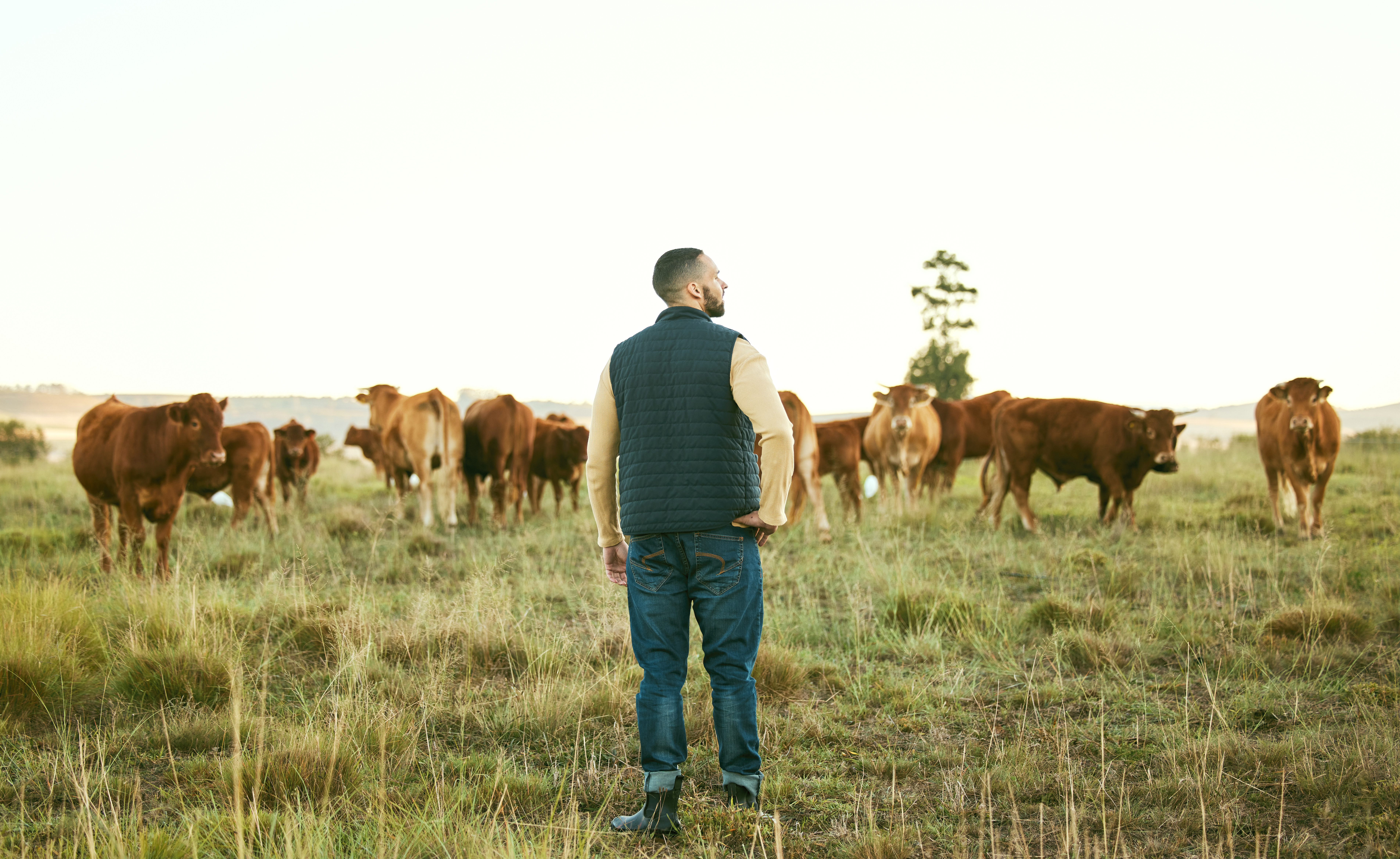 How To Plan To Be A Successful Farmer
