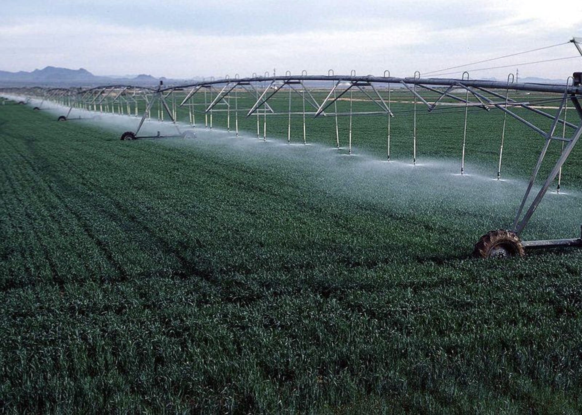 Want your dairy farm to become derogation compliant? Here is what you need to know.