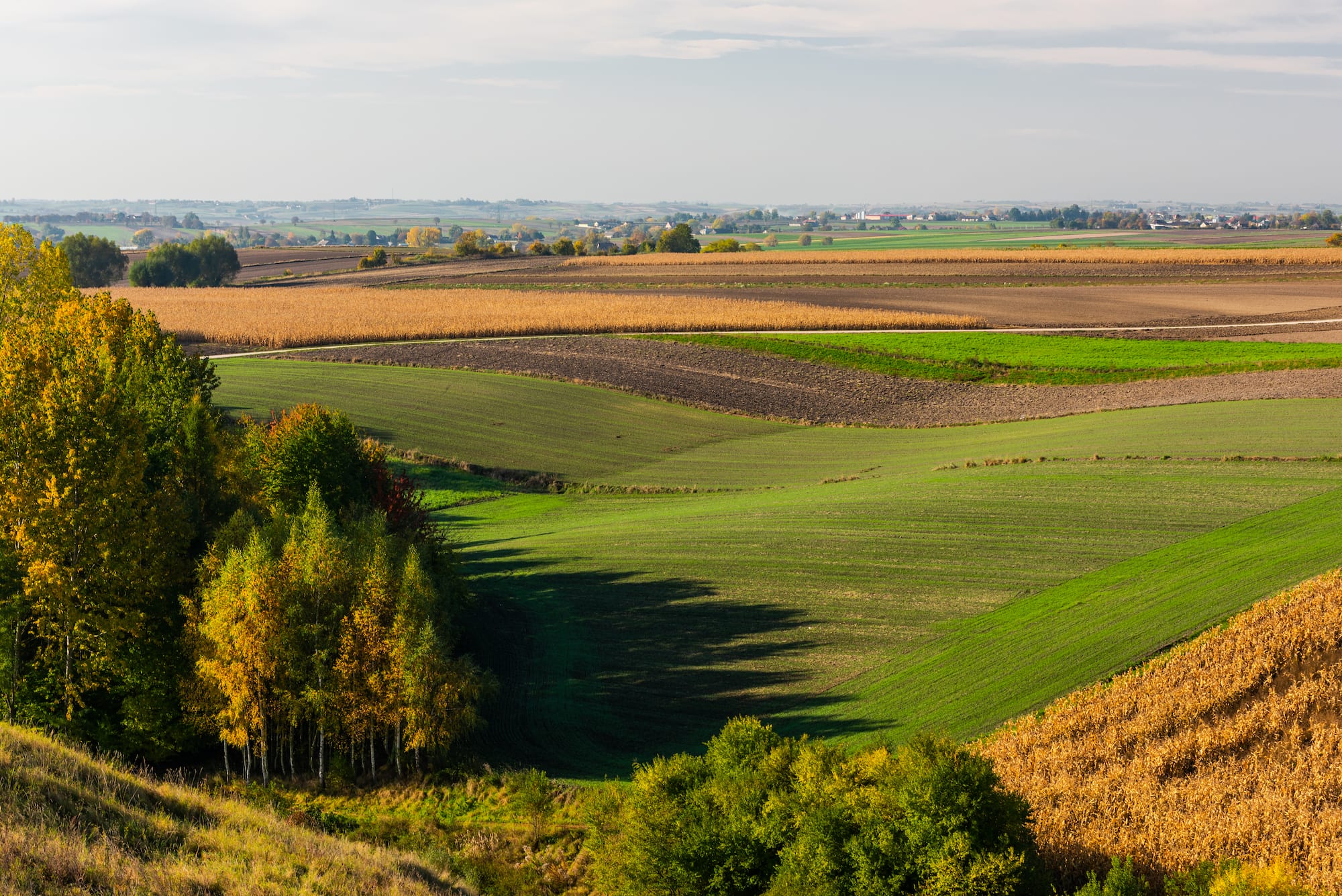 How to Manage Your Pasture By Seasons