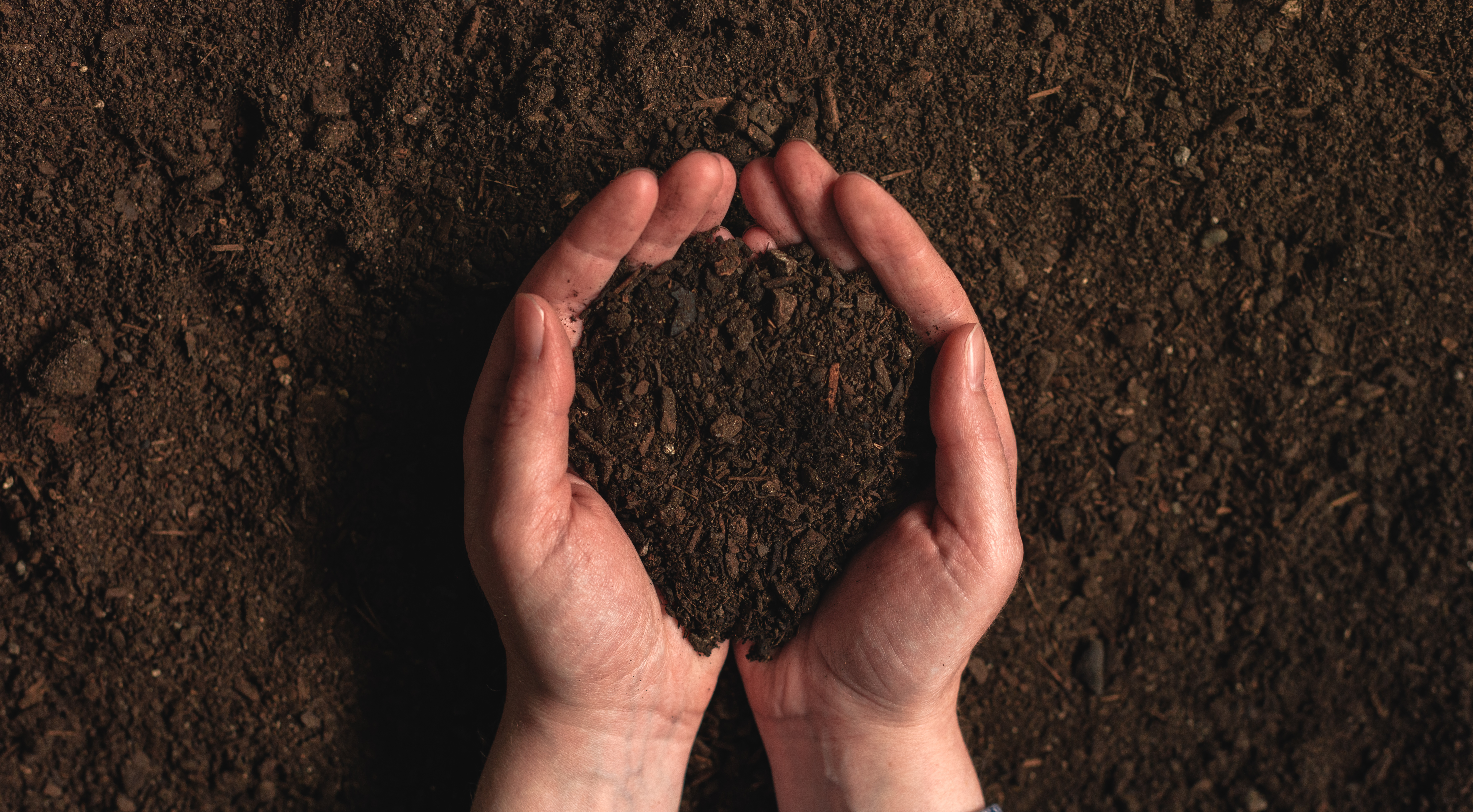 Soil Fertility and Fertiliser: Nurturing the Grass from the Ground Up