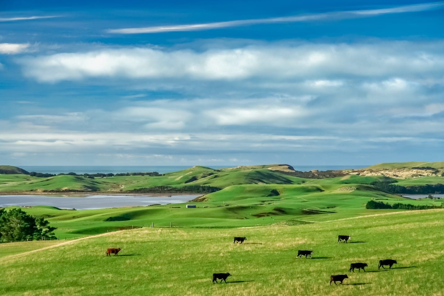 Grazing management to reduce soil damage