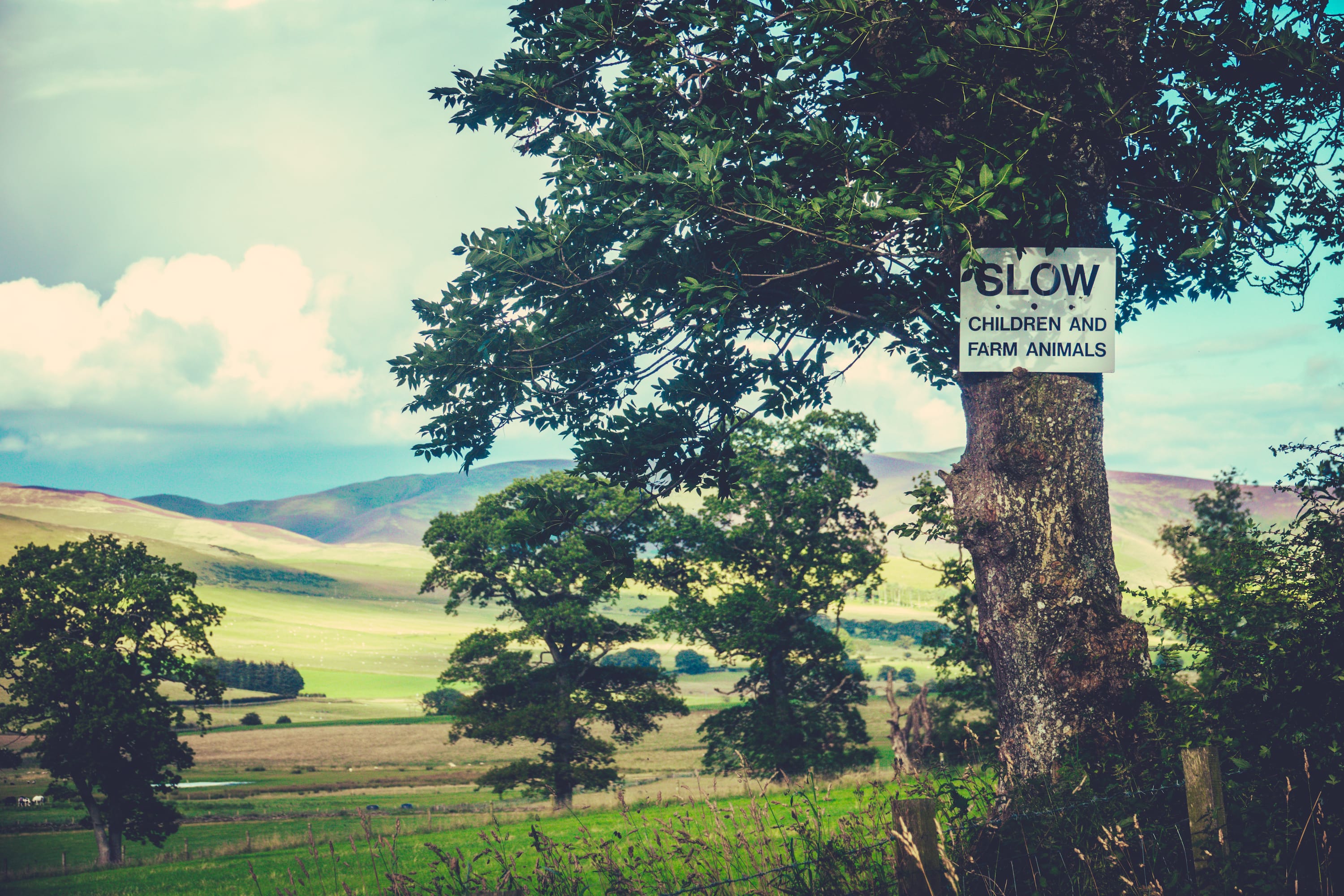 New Powers Available for Victorian Farmers to Protect Their Farms from Threats