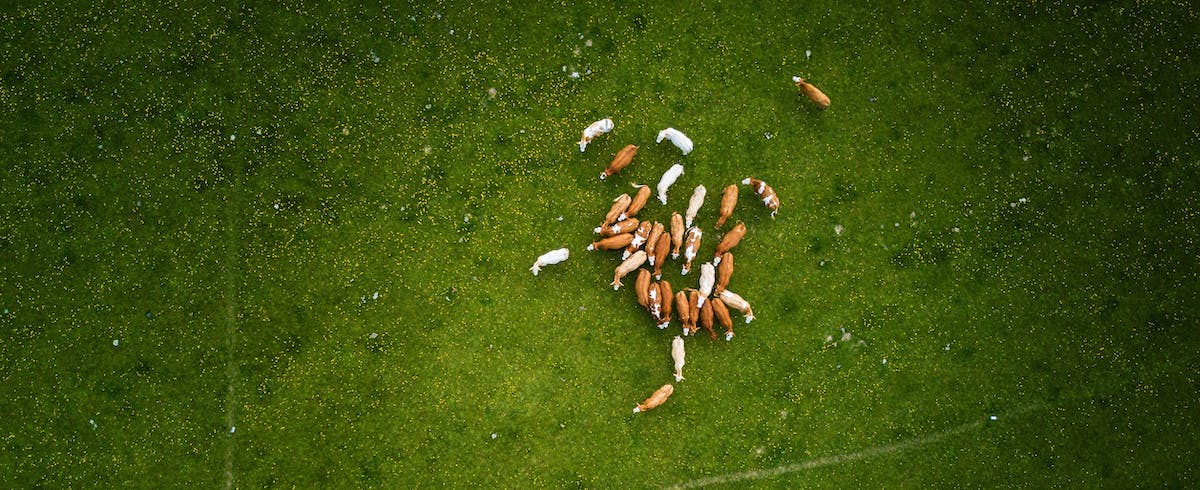 Are drones the right tool to help you measure your pasture?