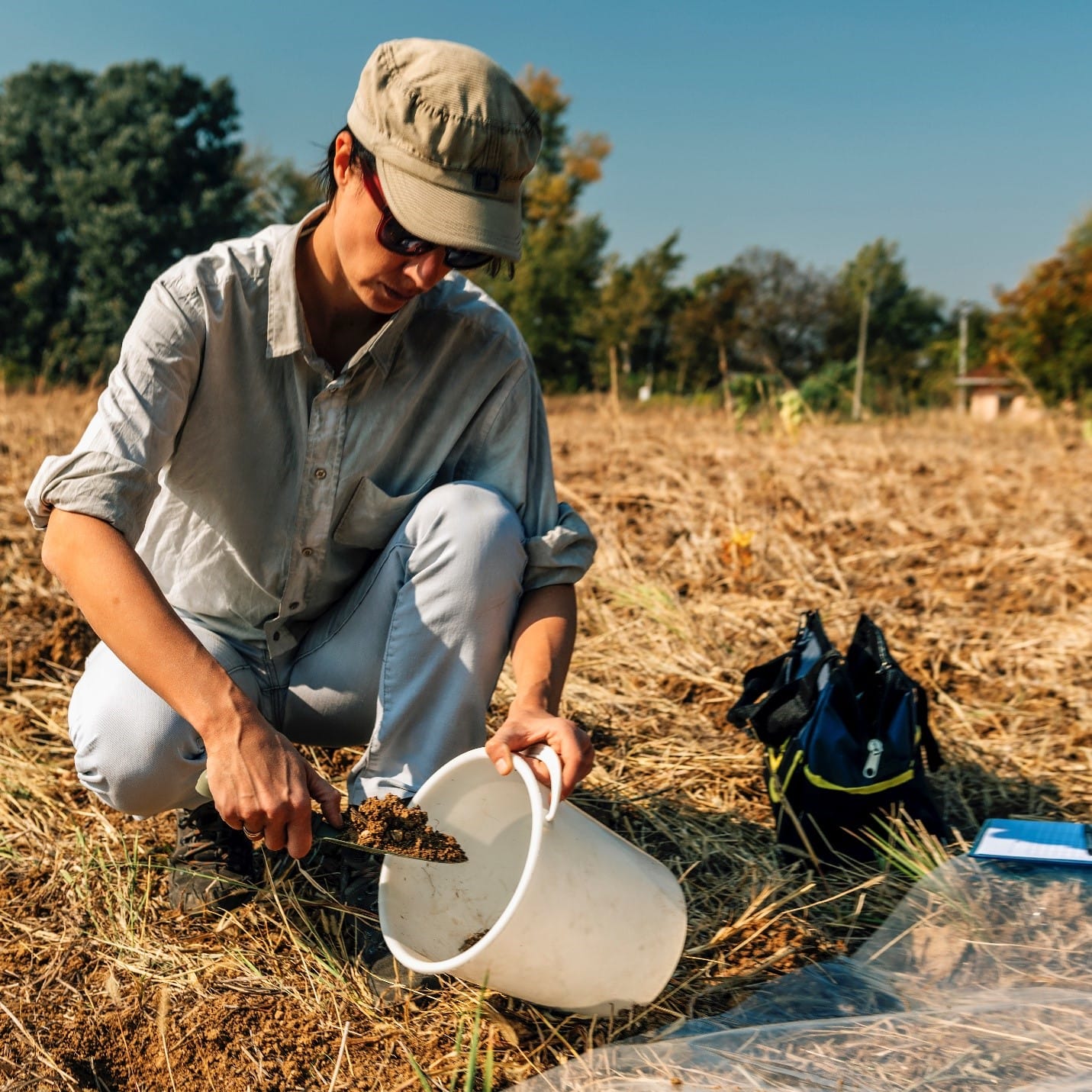 Best crops for heavy and wet soils on pasture