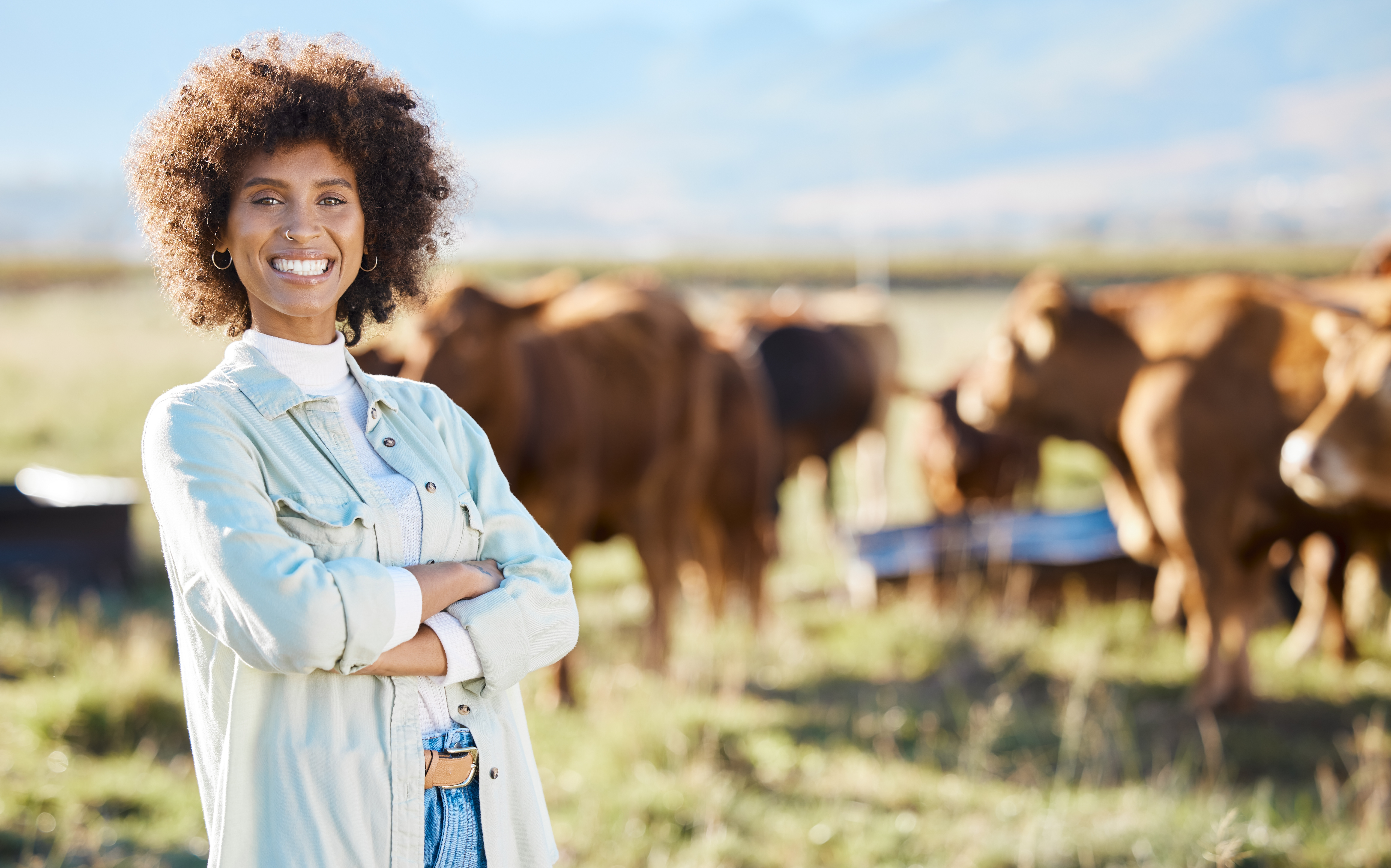 Maximising Pasture Utilisation for Profitability