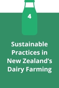 4. Sustainable Practices in New Zealand’s Dairy Farming