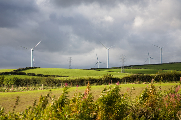 Sustainable Success: Best Practices in Farm Management for Eco-Friendly Farmers