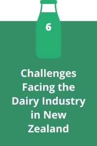 6. Challenges Facing the Dairy Industry in New Zealand