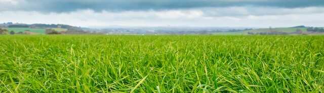 Choosing ryegrass cultivars based on forage value index (FVI) ratings