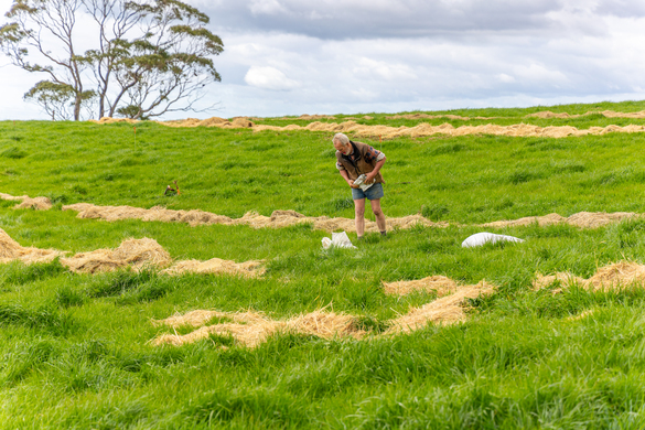Data-Driven Decision Making in Pasture Management: The Pasture.io Advantage