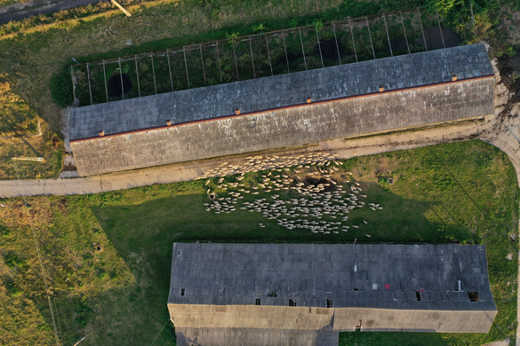 Satellite Pasture Management For Sheep Farming