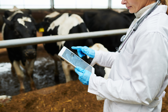 High-Tech Shields: How Technology Can Boost Your Farm’s Biosecurity