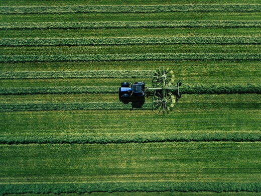 Satellite Pasture Farming in US: The Lowdown
