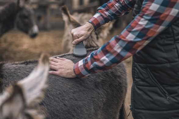 Organic Farming: Is It Worth Making The Change? We Answer Your Questions.