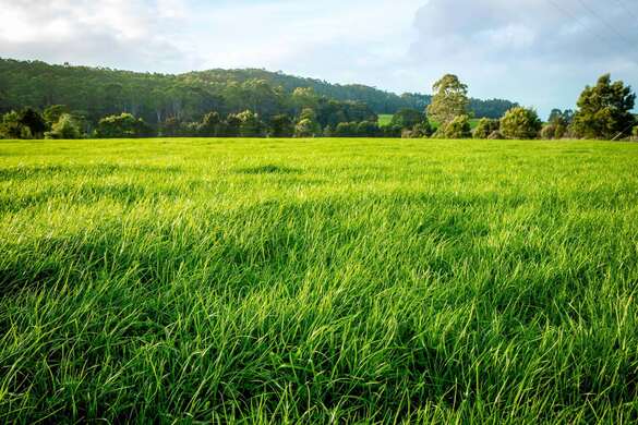 You can’t control the season, but you can keep your feed plan current