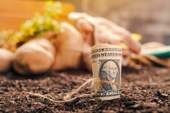 Make Money With These 8 Profitable Small Farming Options — Part 1
