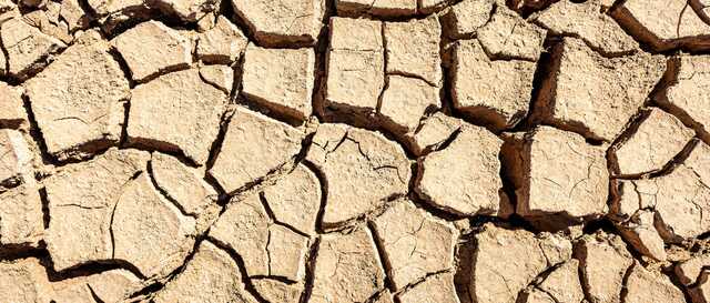How to Deal with Drought