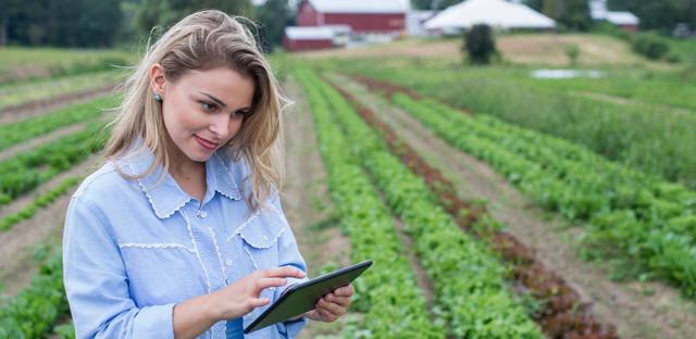 October 2025 input cost check-in: water spikes, hay eases, urea drops