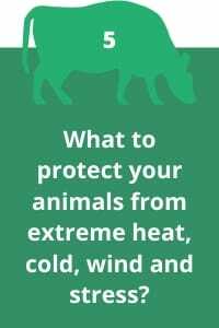 5. How to protect your animals from extreme heat, cold, wind, stress and climate change?