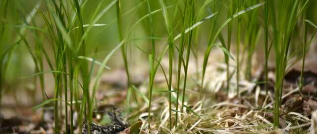 Recovering from a drought