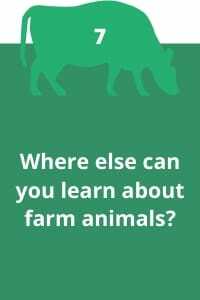7. Where else can you learn about farm animals?