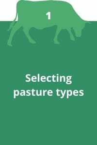1. Pasture Species