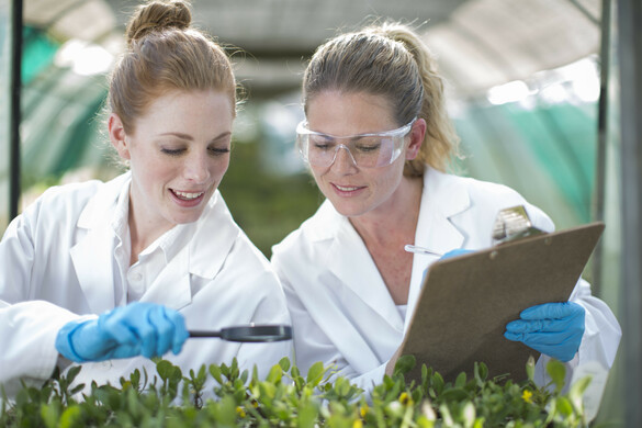 What Is Agbioscience and Where Does AgTech Come In?