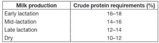 Protein requirements for a lactating dairy cow.