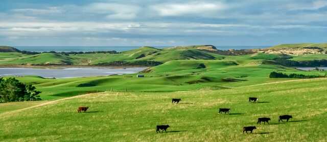 How to use Pasture.io to get maximum yields and nutritional value out of your pastures