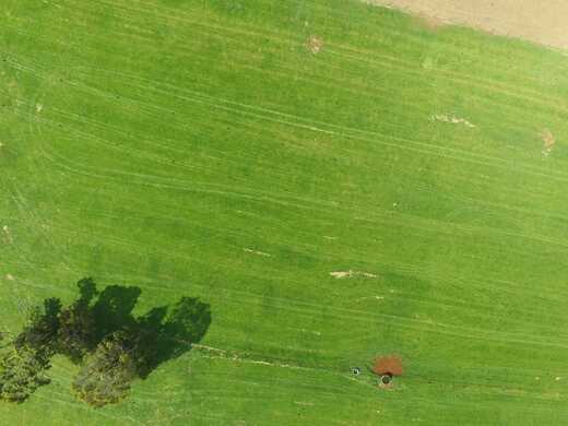 Stop eyeballing your pasture growth and start earning more profits