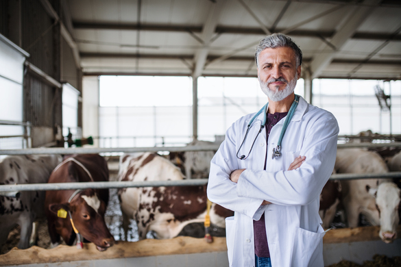 Preventing and Managing Livestock Diseases on Your Farm