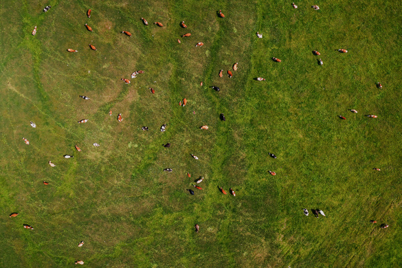 What Are The Benefits Of Satellite Farming?
