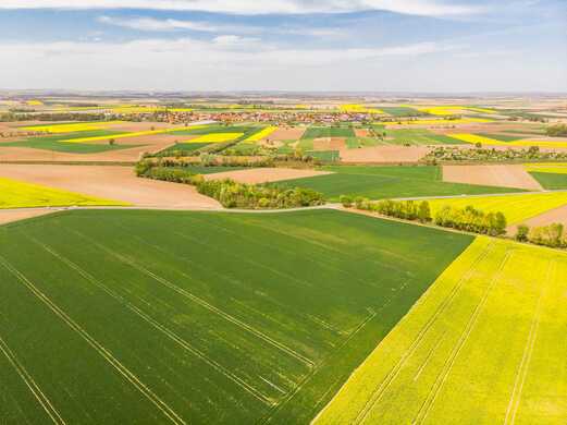 A Guide: How To Manage A farm Successfully