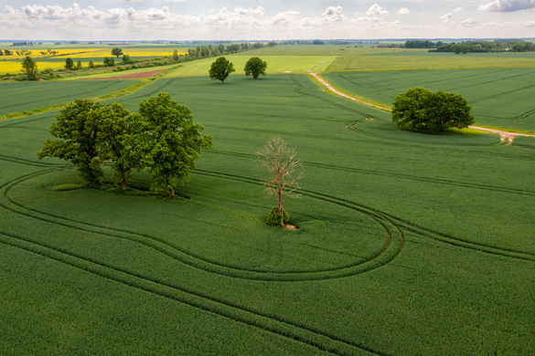 EU Backs Out Of Plans To Cut Use of Pesticides and Fertilisers in Farming