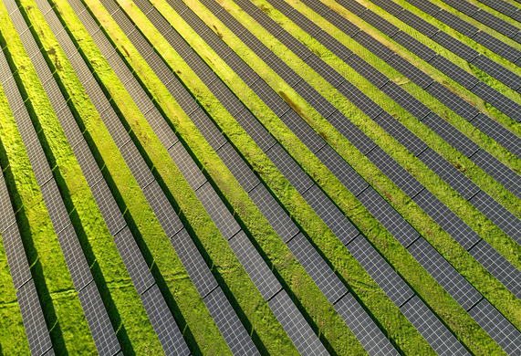 Solar Grazing: How “Agrivoltaics” Is Creating a Win-Win for Farmers and Land