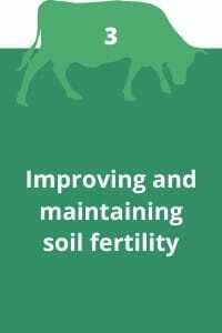 3. Improving and maintaining soil fertility
