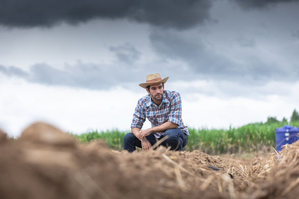 How Confident Are Farmers About The Future? We Explore Roy Morgan’s Farmer AgTech Survey 2024