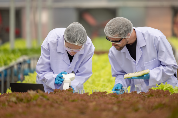 COP30 put food systems front and centre: the farmer-relevant takeaways from Agriculture and Food Systems Day
