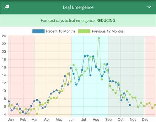 How to use the leaf stage to make grazing decisions