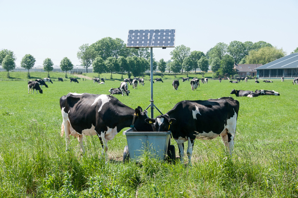 Why Do Aussie Farmers Love Using AgTech? You Might Be Surprised…