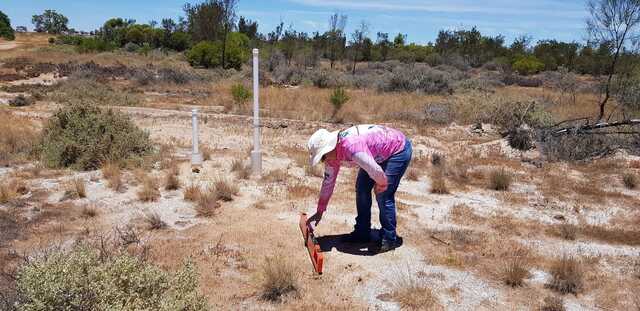 Fertilise your pasture the right way  (Part 1)