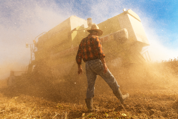 Beyond Lunchbreaks: Why The Wellbeing of Farmers & Farm Workplaces Should Be Your Top Priority