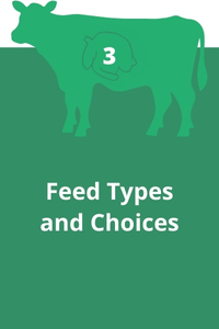 3: Feed Types and Choices